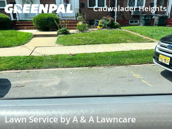 Lawn Mow nearby Trenton, NJ, 
