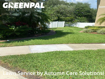 Grass Cutting nearby Brandon, FL, 