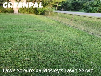 Grass Cutting nearby Clarksville, TN, 