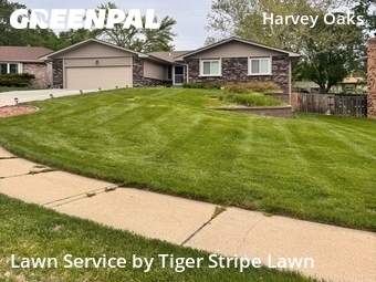 Lawn Cut nearby Omaha, NE, 
