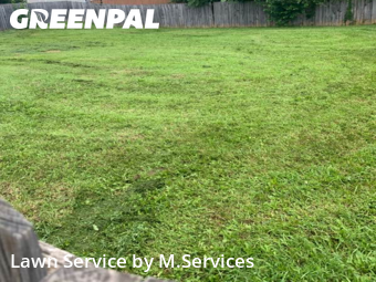 Lawn Cut nearby Greensboro, NC, 