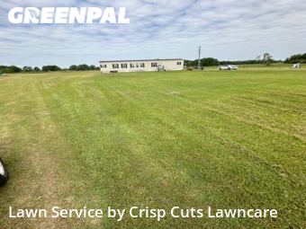 Yard Cutting nearby Breaux Bridge, LA, 