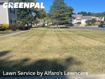 Lawn Maintenance nearby Pineville, NC, 