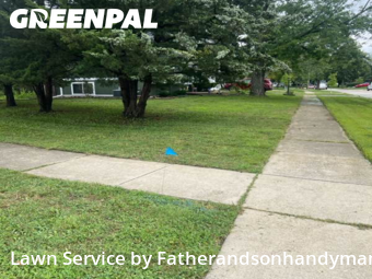 Lawn Upkeep in Hanover Park, 60133, Garden Trimming by Fatherandsonhandyman, work completed in Nov , 2025