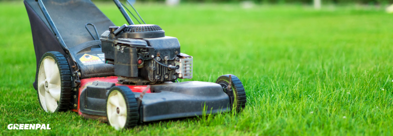 Best Self-Propelled Mowers for Residential Lawns (According to Lawn Care Pros)