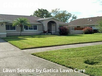 Grass Cut nearby Orlando, FL, 