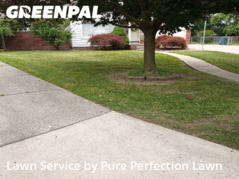 Grass Cut nearby Dearborn, MI, 