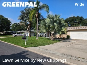Grass Cut nearby Clearwater, FL, 
