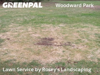 Lawn Cut nearby Columbus, OH, 