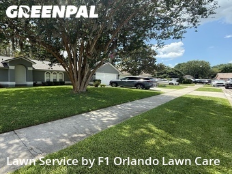 Grass Cut nearby Orlando, FL, 