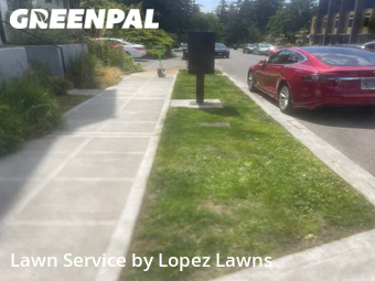 Lawn Cutting nearby Seattle, WA, 