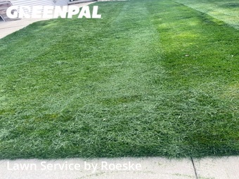 Lawn Cutting nearby Bloomington, IL, 