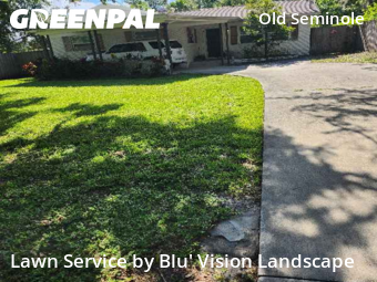 Grass Cut nearby Tampa, FL, 