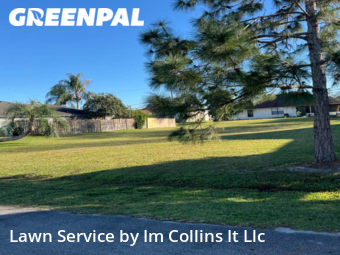 Lawn Mow nearby Palm Bay, FL, 