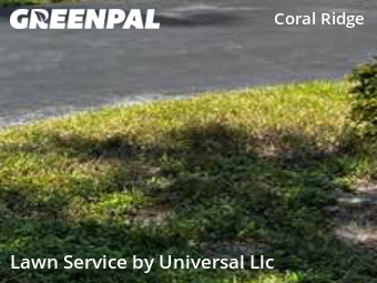 Lawn Mow nearby Fort Lauderdale, FL, 