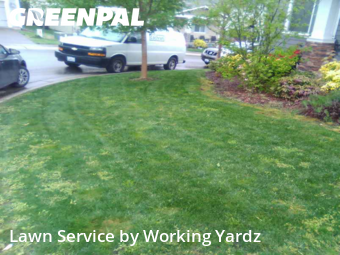 Grass Cutting nearby Kent, WA, 