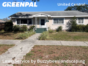 Lawn Servicein St Petersburg,33713,Lawn Cut by Buzzybeeslandscaping, work completed in Jun , 2026