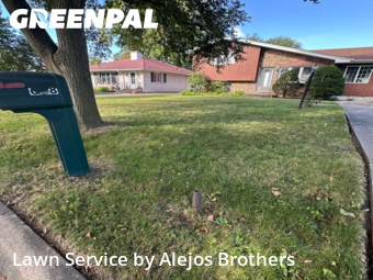 Lawn Cuttingin Elmhurst,60126,Lawn Mowing Service by Alejos Brothers, work completed in Nov , 2025