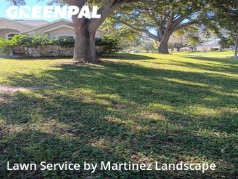Grass Cuttingin Clermont,34711,Lawn Maintenance by Martinez Landscape, work completed in Dec , 2025
