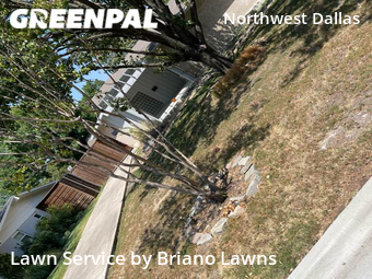 Lawn Cutting nearby Dallas, TX, 