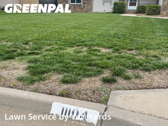 Grass Cut nearby Wichita, KS, 