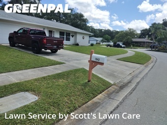 Lawn Mowing nearby Palm Harbor, FL, 