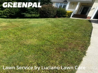 Lawn Mowing nearby Lowell, NC, 