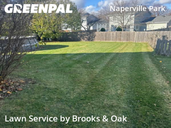 Lawn Cutting nearby Naperville, IL, 