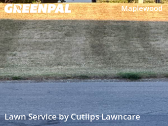 Lawn Cut nearby Springfield, OH, 