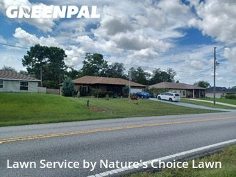 Property Maintenance in Citrus Springs, 34433, Mowing Services by Nature's Choice Lawn, work completed in Nov , 2025