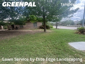 Lawn Cut nearby San Antonio, TX, 