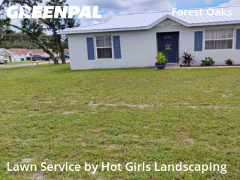 Lawn Mow nearby Spring Hill, FL, 