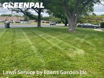 Lawn mowed in Edison, 8820