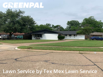 Lawn Cut nearby Irving, TX, 