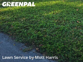 Lawn Cutting nearby Sunrise, FL, 