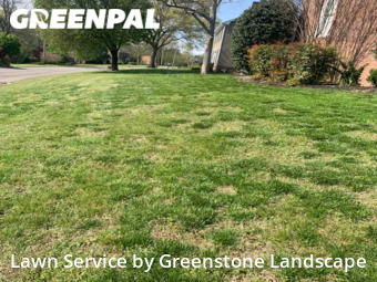 Lawn Cut nearby Hendersonville, TN, 