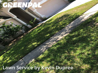 Yard Cutting nearby Gibsonton, FL, 