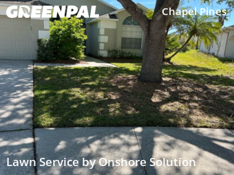 Yard Mowing nearby Wesley Chapel, FL, 