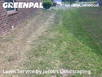 Lawn Cut nearby Columbia, SC, 