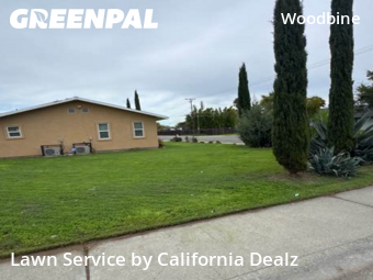 Work completed by lawn-care-experts-near-me-in-Sacramento-CA