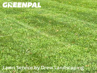 Grass Cut nearby Oak Park, MI, 