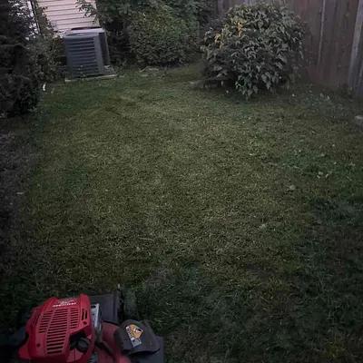 Lawn Love Lawn Care of Washington DC Photo 16