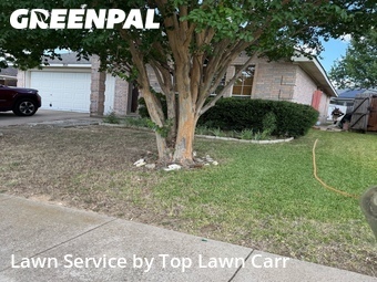 Lawn mowed in Cedar Hill, 75104