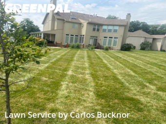 Lawn Care nearby Lee's Summit, MO, 