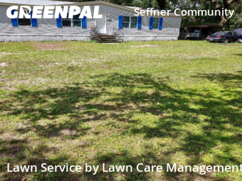 Lawn Cutting nearby Seffner, FL, 