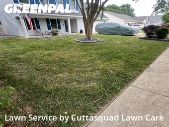 Lawn Mow nearby Virginia Beach, VA, 