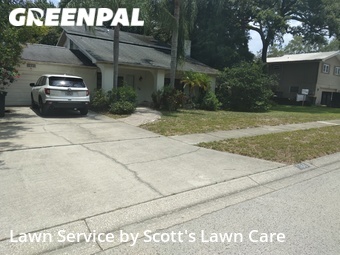 Lawn Care nearby Palm Harbor, FL, 