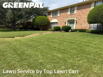 Grass Cutin Grapevine,76051,Grass Cutting by Top Lawn Carr, work completed in Jan , 2026