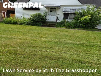 Lawn Mowing nearby Euclid, OH, 