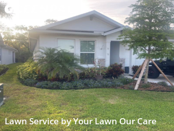 Lawn Mow nearby Parrish, FL, 